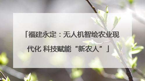 福建永定：无人机智绘农业现代化 科技赋能“新农人”